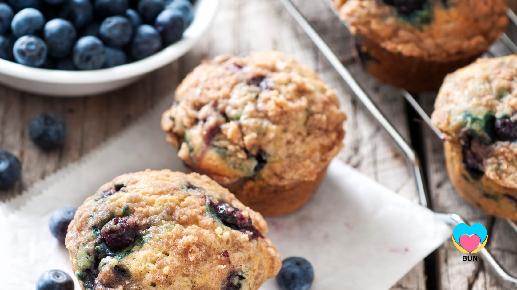 Delicious Blueberry Oatmeal Lactation Muffins! - Bun Maternity & Mama